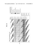 TRANSMITTING SYSTEM AND METHOD OF TRANSMITTING DIGITAL BROADCAST SIGNAL IN     TRANSMITTING SYSTEM diagram and image