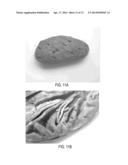 Processing Cocoa Beans And Other Seeds diagram and image