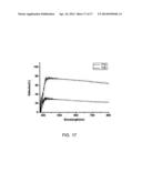 DISPLAY METHOD, FILM AND DISPLAY DEVICE USING MAGNETIC PARTICLES diagram and image