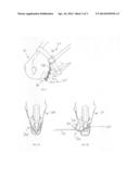 Longeing Device diagram and image