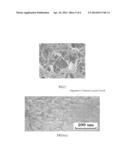 LIQUID CRYSTAL DISPLAY PANEL AND MANUFACTURING METHOD THEREOF diagram and image