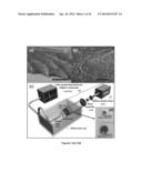 METHODS AND DEVICES FOR GENERATING HIGH-AMPLITUDE AND HIGH-FREQUENCY     FOCUSED ULTRASOUND WITH LIGHT-ABSORBING MATERIALS diagram and image