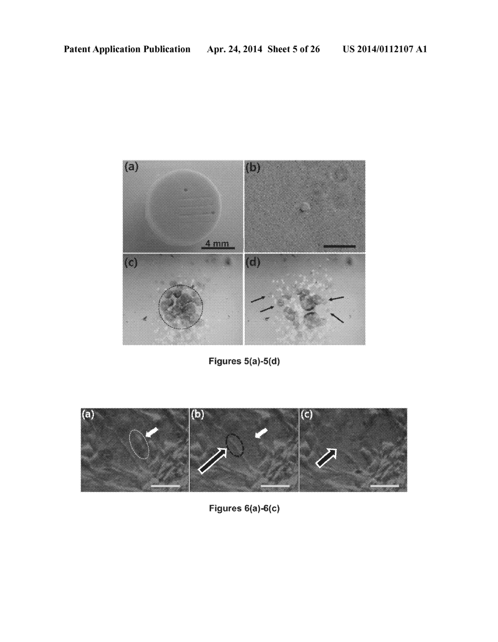 METHODS AND DEVICES FOR GENERATING HIGH-AMPLITUDE AND HIGH-FREQUENCY     FOCUSED ULTRASOUND WITH LIGHT-ABSORBING MATERIALS - diagram, schematic, and image 06