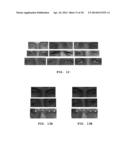 METHOD AND APPARATUS FOR OBJECT DETECTION diagram and image