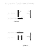 AUTOMATIC CHARACTER STEM STRETCHING diagram and image