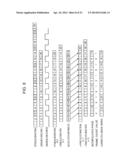 IMAGE DISPLAY DEVICE AND IMAGE PROCESSING DEVICE diagram and image