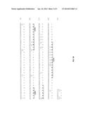 Anti-CD19 Antibodies diagram and image