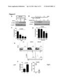 Methods to treat pancreatic inflammation and associated lung injury     through regulation of pancreatic interleukin-22 expression diagram and image