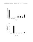 AUTOLOGOUS HUMAN ADULT PLURIPOTENT VERY SMALL EMBRYONIC-LIKE (hVSEL) STEM     CELL REGENERATION OF BONE AND CARTILAGE diagram and image