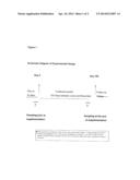 Treatment of Respiratory Tract Illness with Bifidobacterium Lactis BL-04 diagram and image