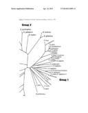 USE OF AN ENAMINOCARBONYL COMPOUND IN COMBINATION WITH A BIOLOGICAL     CONTROL AGENT diagram and image