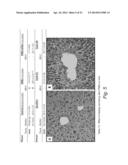 METHODS AND FORMULATIONS PROMOTING TISSUE/ORGAN REGENERATION, LONGEVITY     AND HEALTHSPAN diagram and image