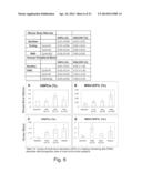 METHODS AND FORMULATIONS PROMOTING TISSUE/ORGAN REGENERATION, LONGEVITY     AND HEALTHSPAN diagram and image