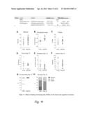 METHODS AND FORMULATIONS PROMOTING TISSUE/ORGAN REGENERATION, LONGEVITY     AND HEALTHSPAN diagram and image