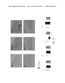 METHODS AND FORMULATIONS PROMOTING TISSUE/ORGAN REGENERATION, LONGEVITY     AND HEALTHSPAN diagram and image