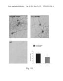 METHODS AND FORMULATIONS PROMOTING TISSUE/ORGAN REGENERATION, LONGEVITY     AND HEALTHSPAN diagram and image