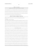 INTERLEUKIN-10 ANTIBODIES diagram and image