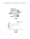 Increased Bioavailability of Transdermally Delivered Agents diagram and image