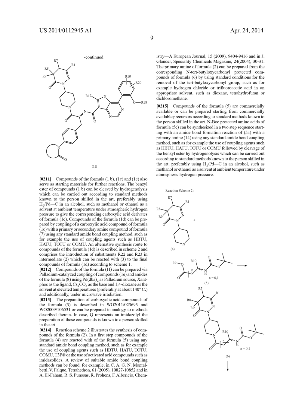 NOVEL PHTHALAZINONE-PYRROLOPYRIMIDINECARBOXAMIDE DERIVATIVES - diagram, schematic, and image 10