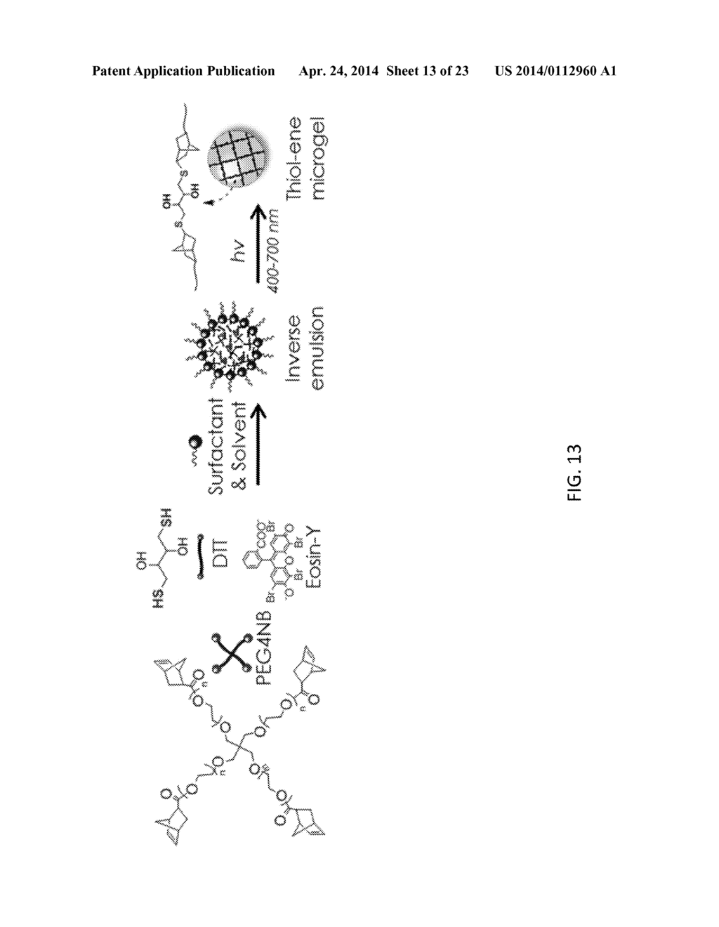 VISIBLE LIGHT CURABLE HYDROGELS AND METHODS FOR USING - diagram, schematic, and image 14