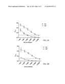 Lipid-Conjugated Rhamnose for Immune System Recruitment and Oncotherapy diagram and image