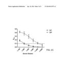 Lipid-Conjugated Rhamnose for Immune System Recruitment and Oncotherapy diagram and image