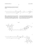 Lipid-Conjugated Rhamnose for Immune System Recruitment and Oncotherapy diagram and image