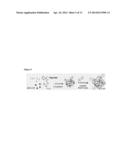 Injectable Preformed Macroscopic 3-Dimensional Scaffolds for Minimally     Invasive Administration diagram and image