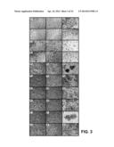 METHODS OF MODULATING BONE REMODELING diagram and image