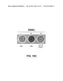 METHODS OF MODULATING BONE REMODELING diagram and image