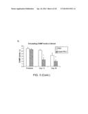 COMPOUNDS AND METHODS FOR INDUCING CHONDROGENESIS diagram and image