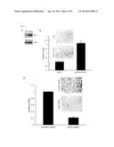 METHODS OF IDENTIFYING RISK OF PREECLAMPSIA AND PREGNANCY-RELATED     DISORDERS diagram and image