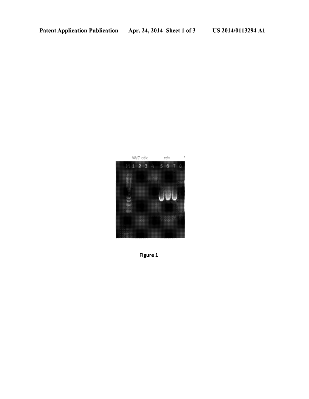 DIRECT NUCLEIC ACID AMPLIFICATION KIT, REAGENT AND METHOD - diagram, schematic, and image 02