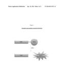 IDENTIFICATION OF CELLULOLYTIC MICROORGANISM CONTAMINATION IN FOOD AND     OTHER MATERIALS diagram and image