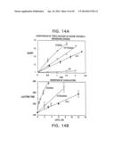 MODIFIED VITAMIN K-DEPENDENT POLYPEPTIDES diagram and image