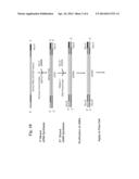 Whole Transcriptome Sequencing diagram and image