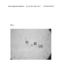 HIGH SALINITY TOLERANT MICROALGAE STRAINS, PRODUCTS DERIVED THEREFROM, AND     METHODS OF PRODUCING THE SAME diagram and image