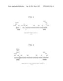 ISOPRENE SYNTHASE AND GENE ENCODING THE SAME, AND METHOD FOR PRODUCING     ISOPRENE MONOMER diagram and image