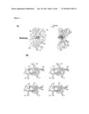 MEDITOPES AND MEDITOPE-BINDING ANTIBODIES AND USES THEREOF diagram and image