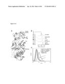 MEDITOPES AND MEDITOPE-BINDING ANTIBODIES AND USES THEREOF diagram and image