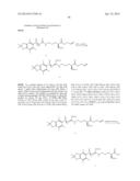 MEDITOPES AND MEDITOPE-BINDING ANTIBODIES AND USES THEREOF diagram and image