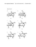 MEDITOPES AND MEDITOPE-BINDING ANTIBODIES AND USES THEREOF diagram and image