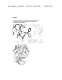 MEDITOPES AND MEDITOPE-BINDING ANTIBODIES AND USES THEREOF diagram and image