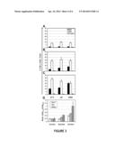 REPLICATION DEFICIENT RECOMBINANT VIRUSES EXPRESSING ANTIGENS REGULATED BY     TRANSCRIPTIONAL CONTROL ELEMENTS COMPRISING MULTIPLE ELEMENTS diagram and image