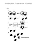 PLASMONIC JUNCTIONS FOR SURFACE-ENHANCED SPECTROSCOPY diagram and image