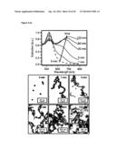 PLASMONIC JUNCTIONS FOR SURFACE-ENHANCED SPECTROSCOPY diagram and image