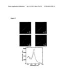 PLASMONIC JUNCTIONS FOR SURFACE-ENHANCED SPECTROSCOPY diagram and image