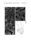 Method of Modifying Nano-Porous Gas-Reforming Catalyst with     High-Temperature Stability diagram and image