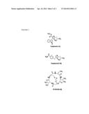 PLANT GLUTAMINE SYNTHETASE INHIBITORS AND METHODS FOR THEIR IDENTIFICATION diagram and image