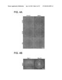 CHEMICALLY-DEFINED ARRAYS FOR SCREENING CELL-SUBSTRATE INTERACTIONS diagram and image